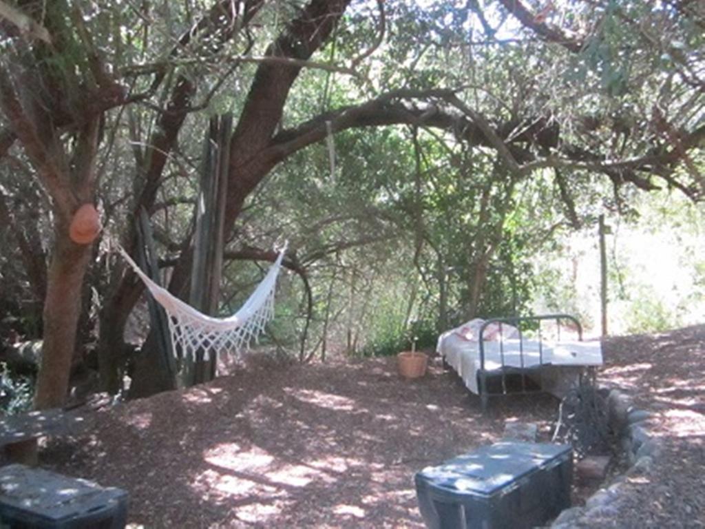 Cabana De Adobe En Lago Rapel Kamer foto